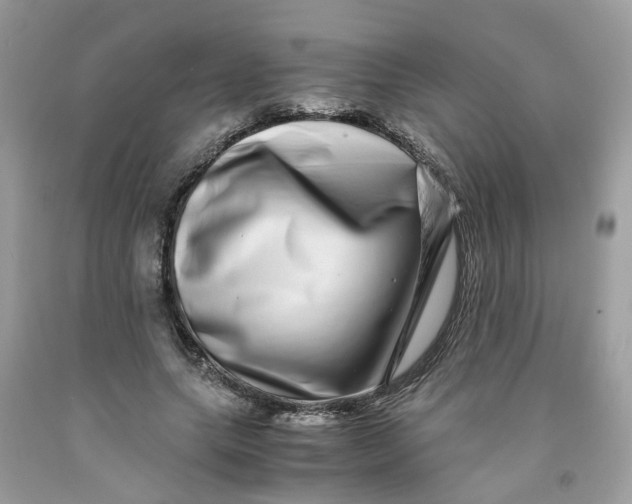 X0000091450639200709061736