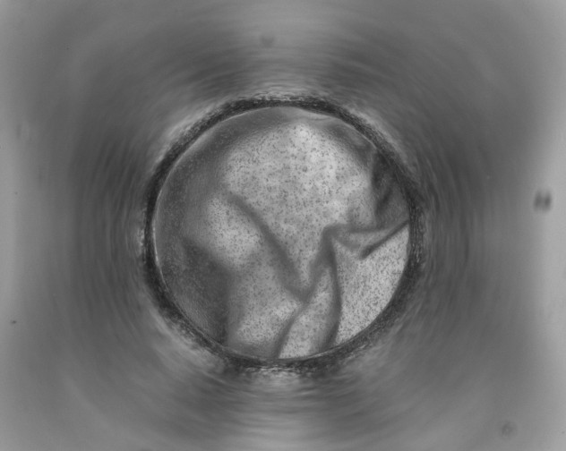 X0000091450640200709061736