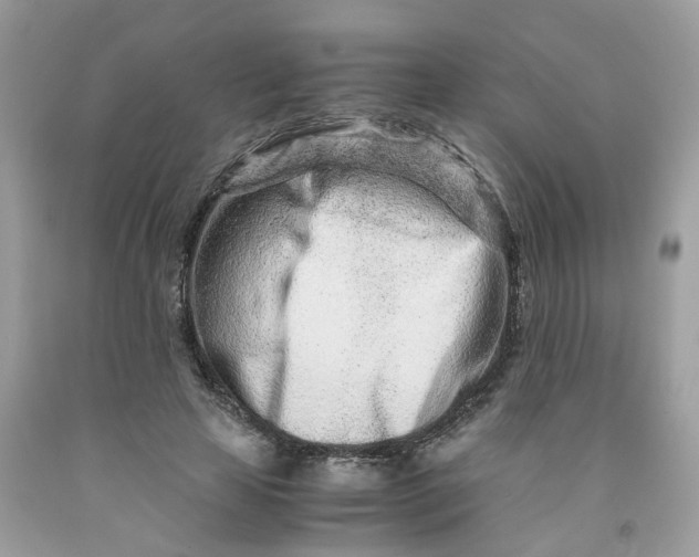 X0000091450641200709061736