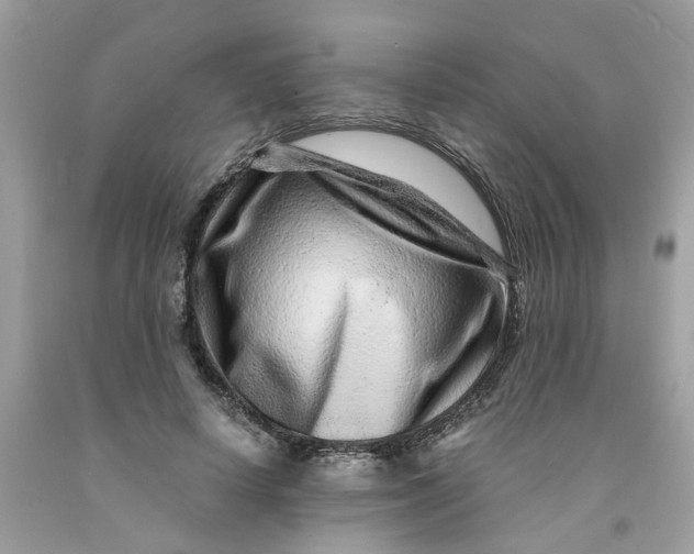 X0000091450642200709061736