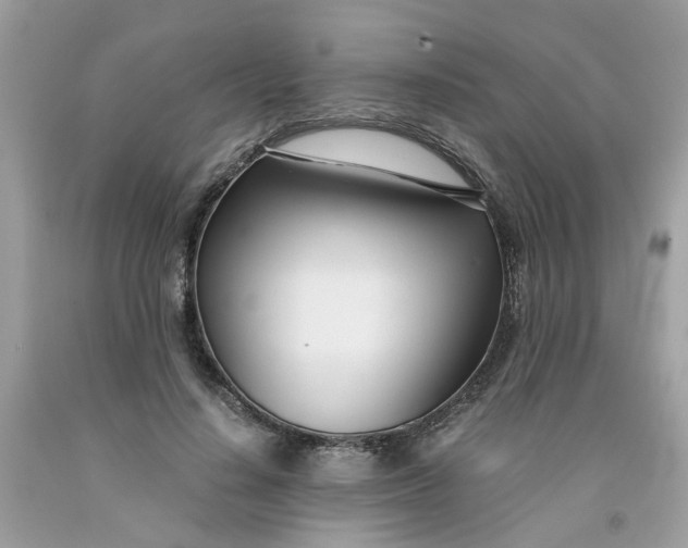 X0000091450644200709061736