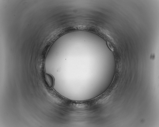 X0000091450645200709061736