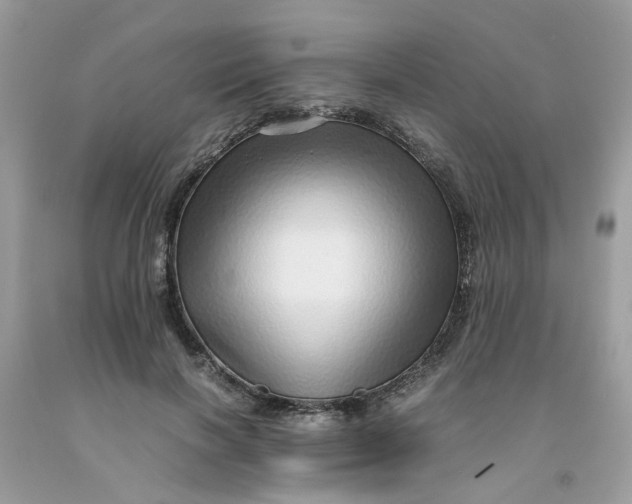 X0000091450646200709061736