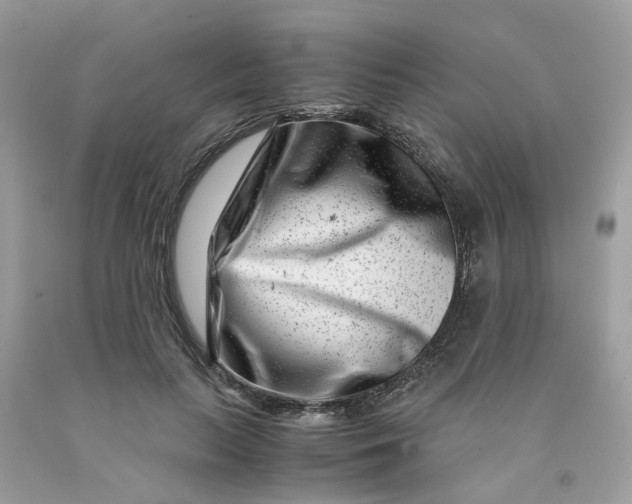 X0000091450647200709061736