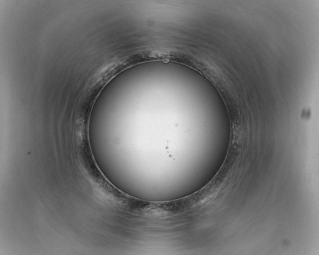 X0000091450648200709061736