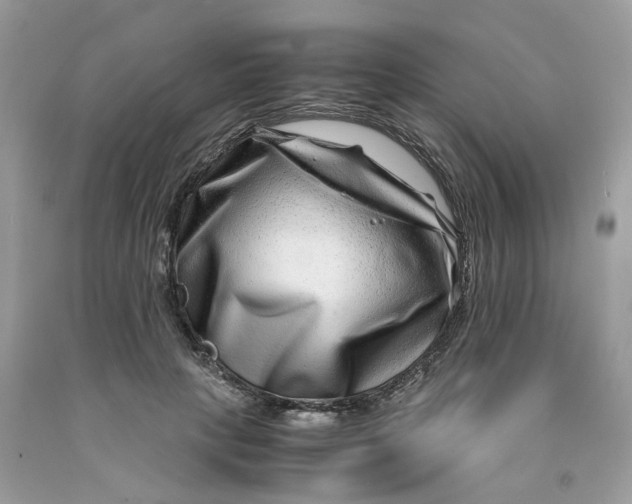 X0000091450649200709061736