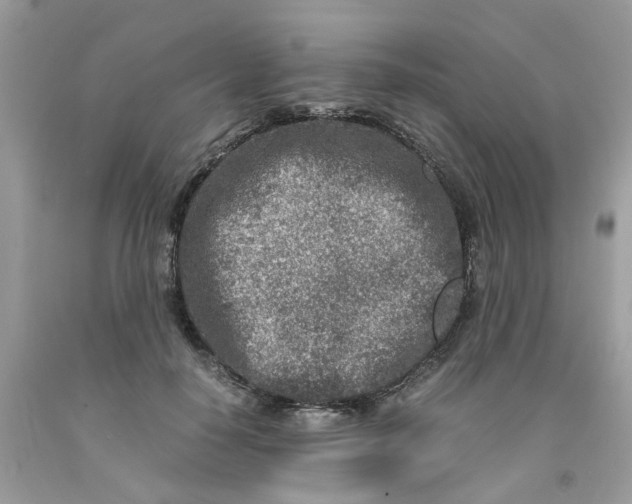 X0000091450650200709061736