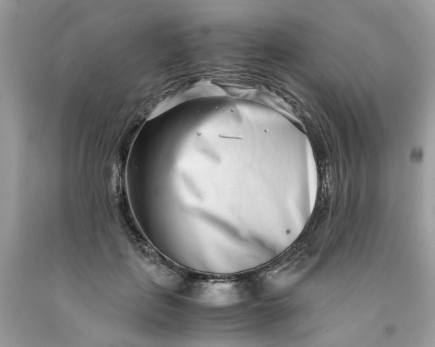 X0000091450651200709061736