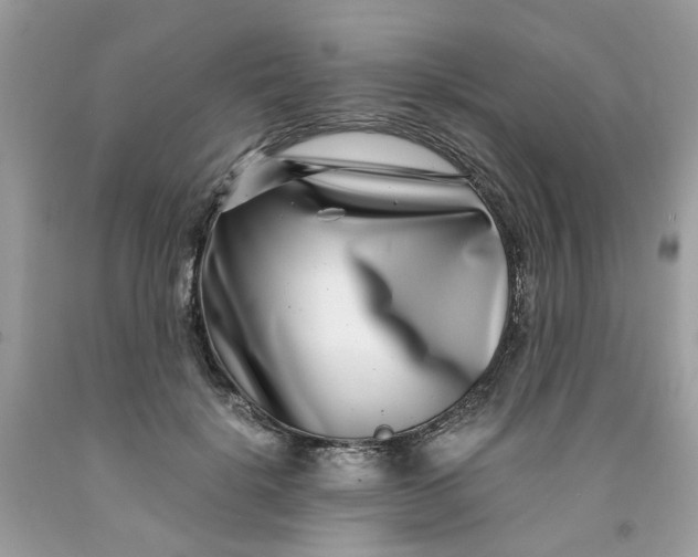 X0000091450652200709061736