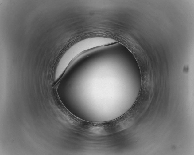 X0000091450653200709061736