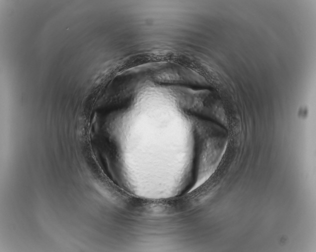 X0000091450654200709061736