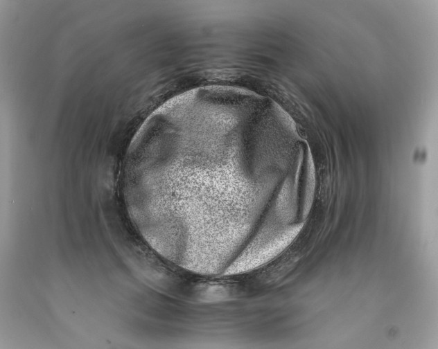 X0000091450655200709061736