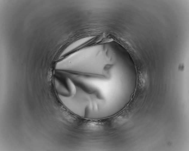 X0000091450657200709061736