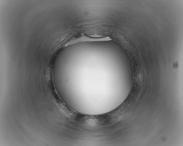 X0000091450658200709061736