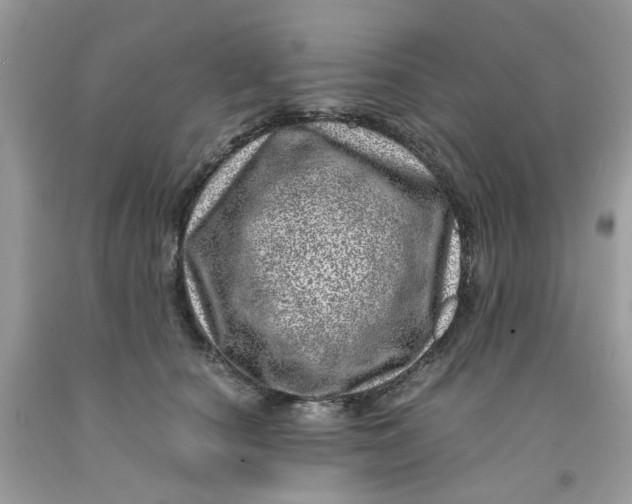 X0000091450660200709061736