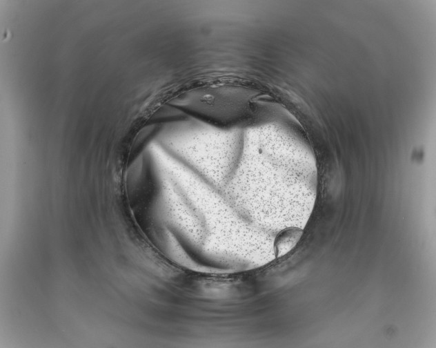 X0000091450661200709061736