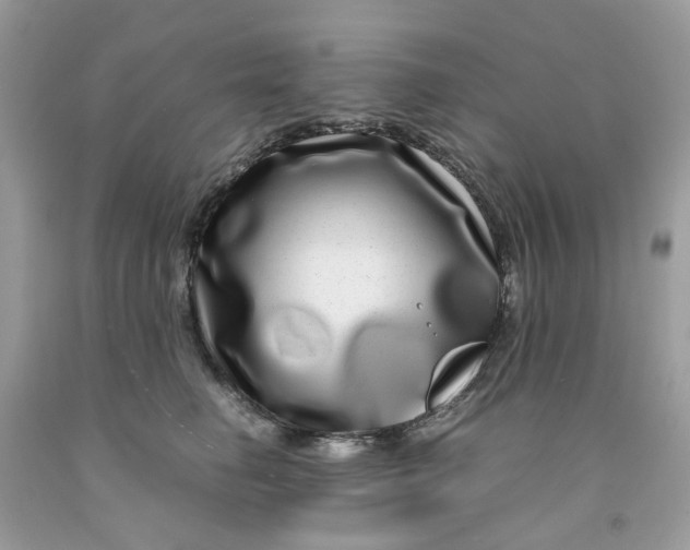 X0000091450662200709061736