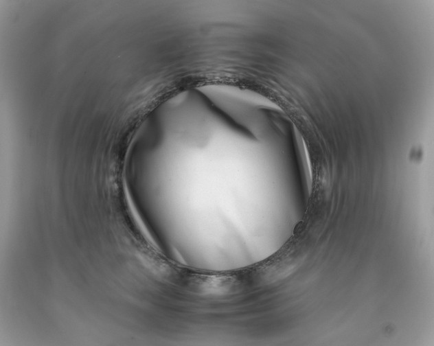 X0000091450663200709061736