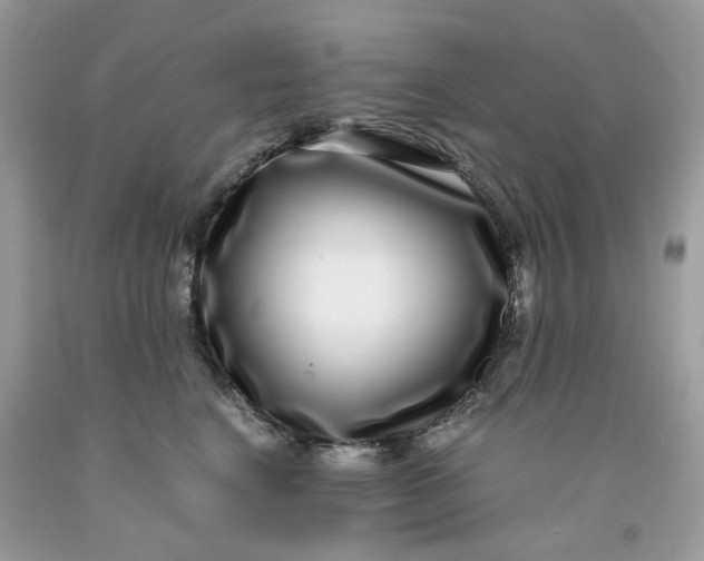 X0000091450664200709061736