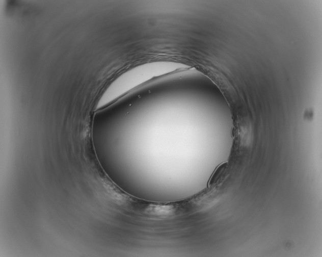 X0000091450665200709061736