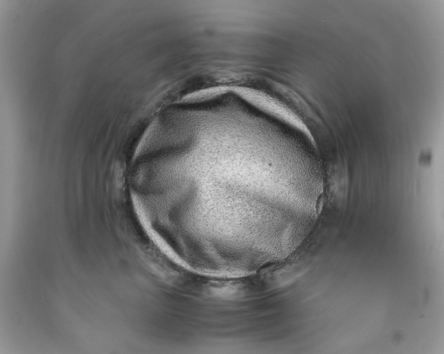 X0000091450667200709061736