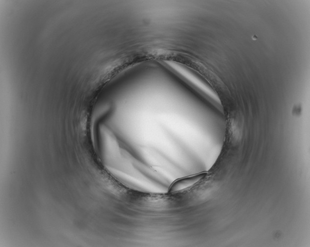 X0000091450668200709061736