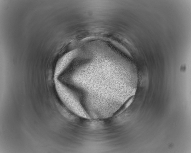 X0000091450670200709061736