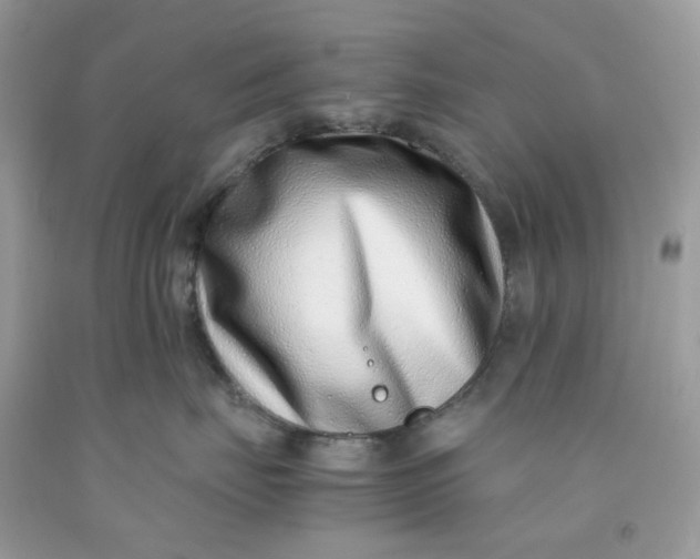 X0000091450671200709061736