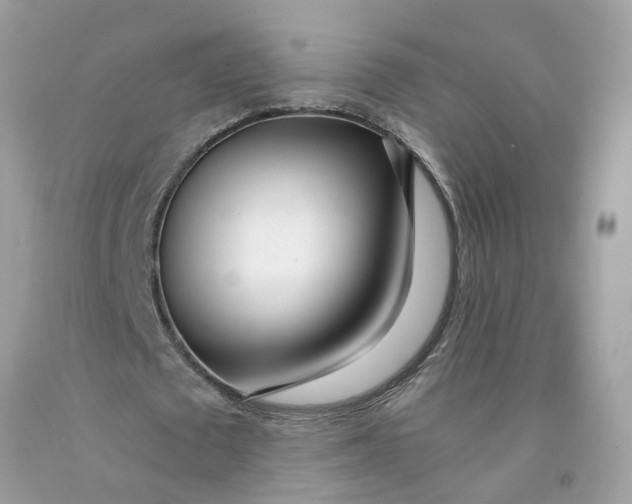 X0000091450673200709061735