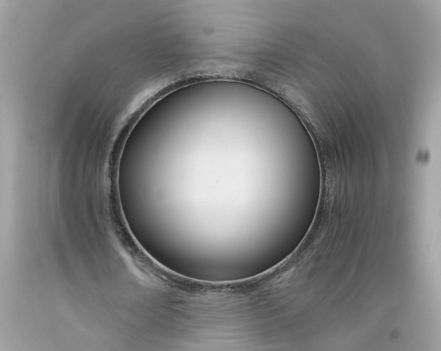 X0000091450674200709061735