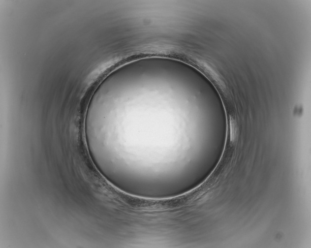 X0000091450675200709061735