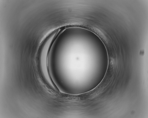 X0000091450676200709061735