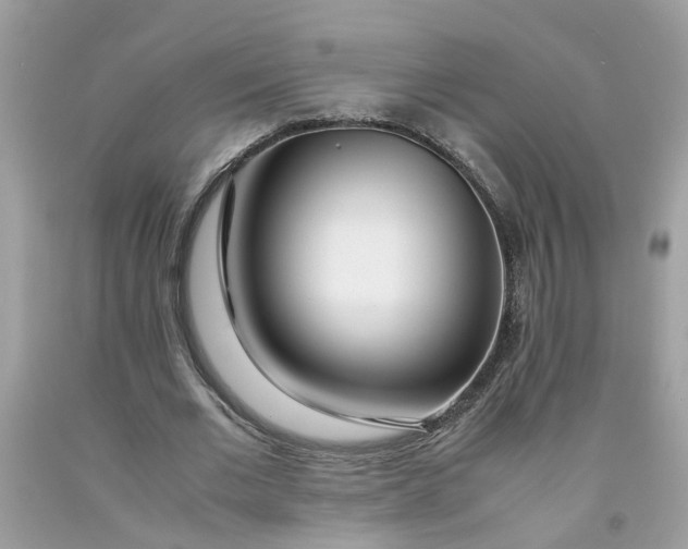 X0000091450677200709061735