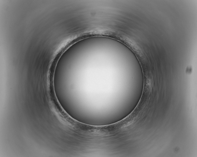 X0000091450678200709061735