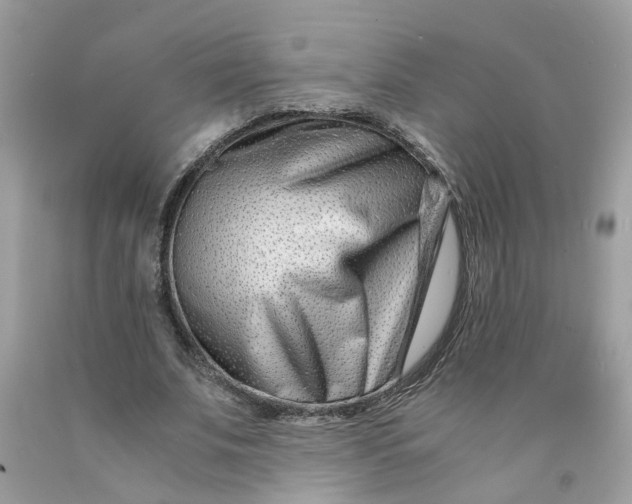 X0000091450679200709061735