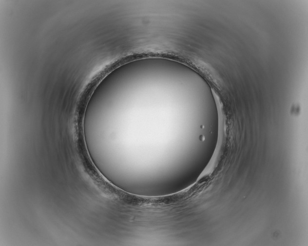 X0000091450680200709061735