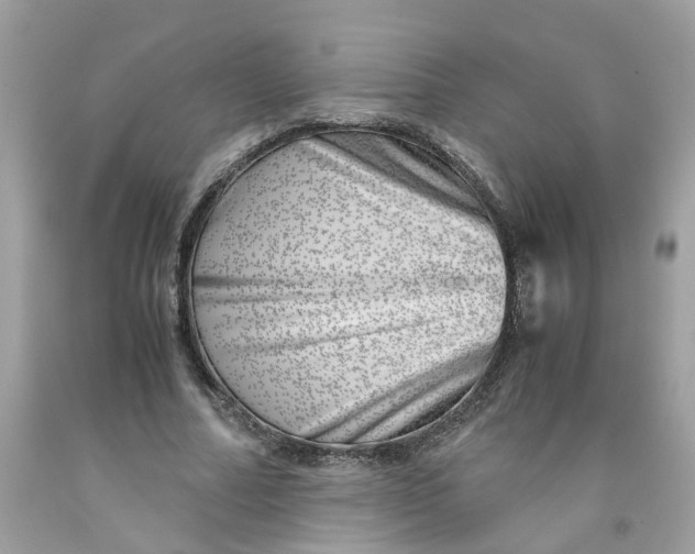 X0000091450682200709061735