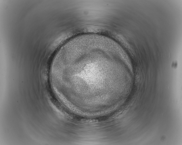 X0000091450683200709061735