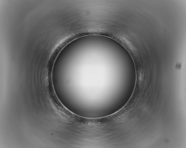 X0000091450684200709061735