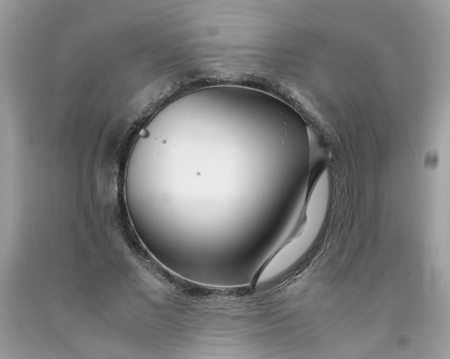 X0000091450685200709061735