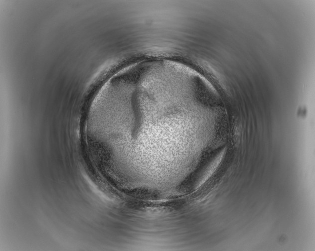 X0000091450686200709061735