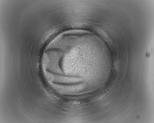 X0000091450687200709061735