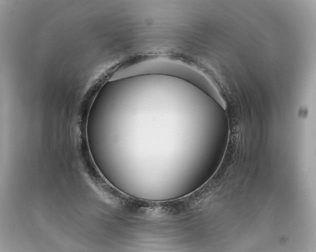 X0000091450688200709061735