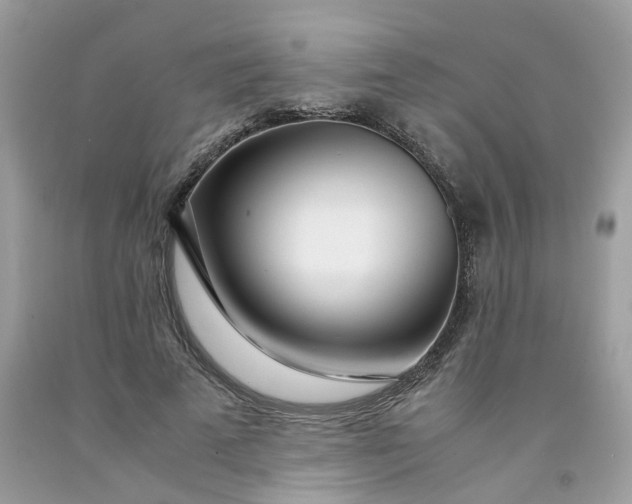 X0000091450689200709061735