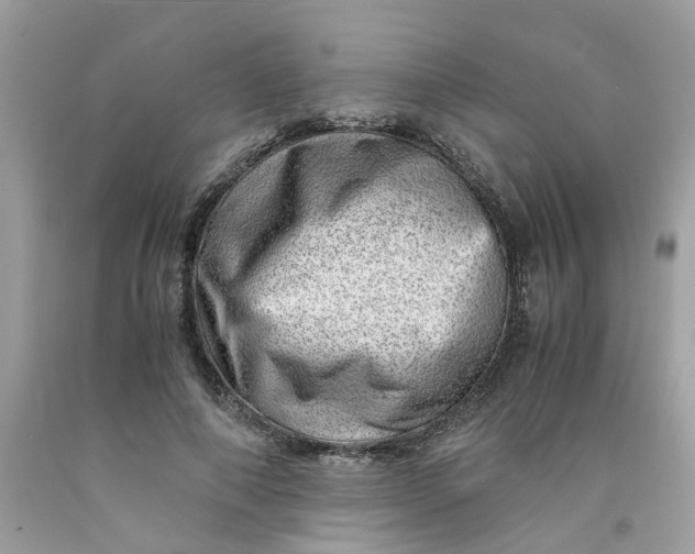 X0000091450690200709061735