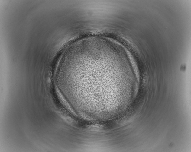 X0000091450691200709061735