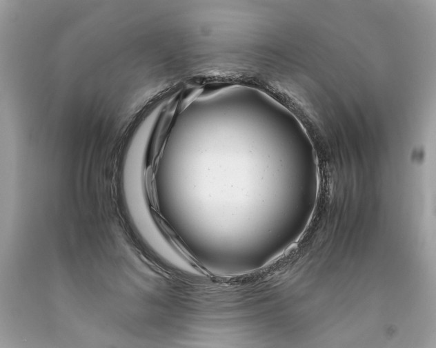 X0000091450692200709061735