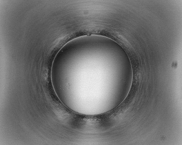 X0000091450693200709061735