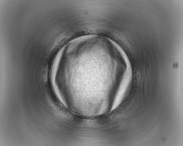 X0000091450694200709061735