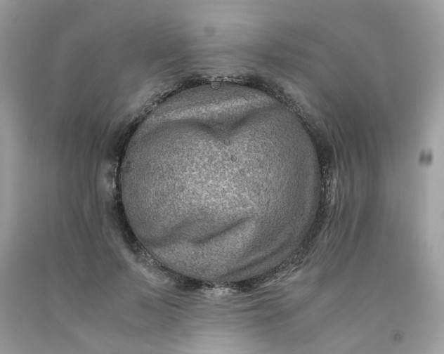 X0000091450695200709061735